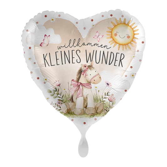 1 Balloon - Willkommen kleines Wunder - GER