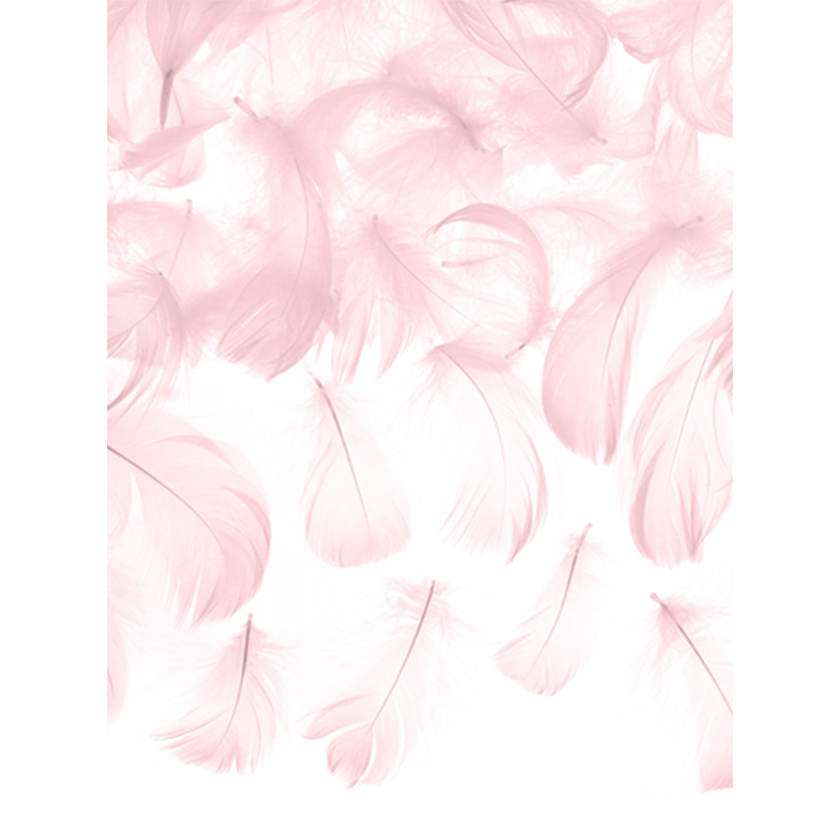 3g Dekofedern - Rosa