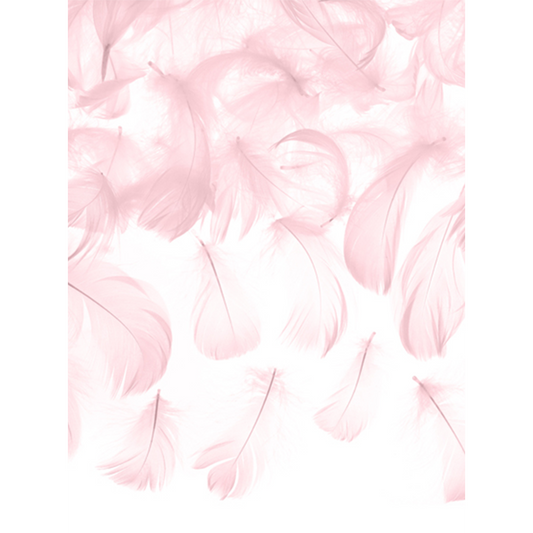 3g Dekofedern - Rosa