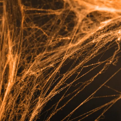 1 Halloween Spinnennetz - Orange