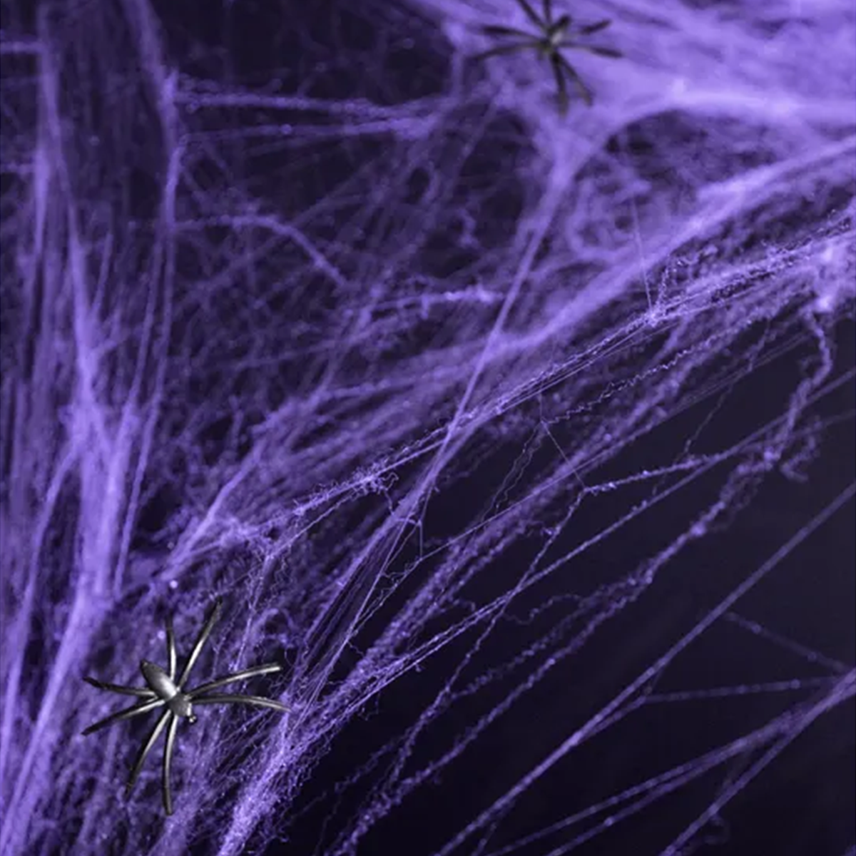 1 Halloween Spinnennetz - Lila