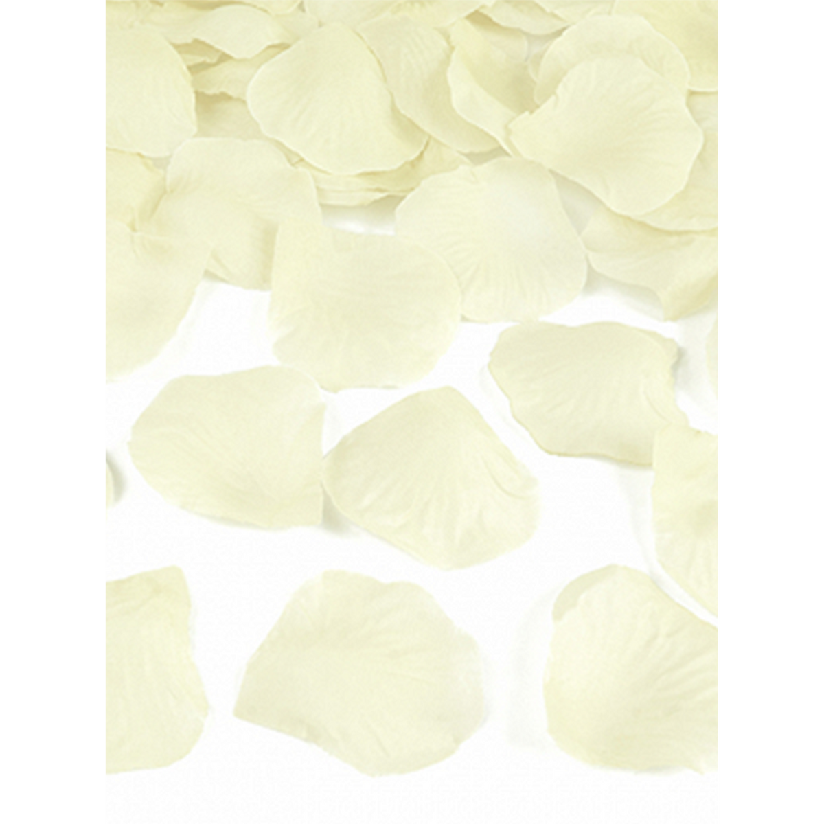 100 Rosenblätter - Creme