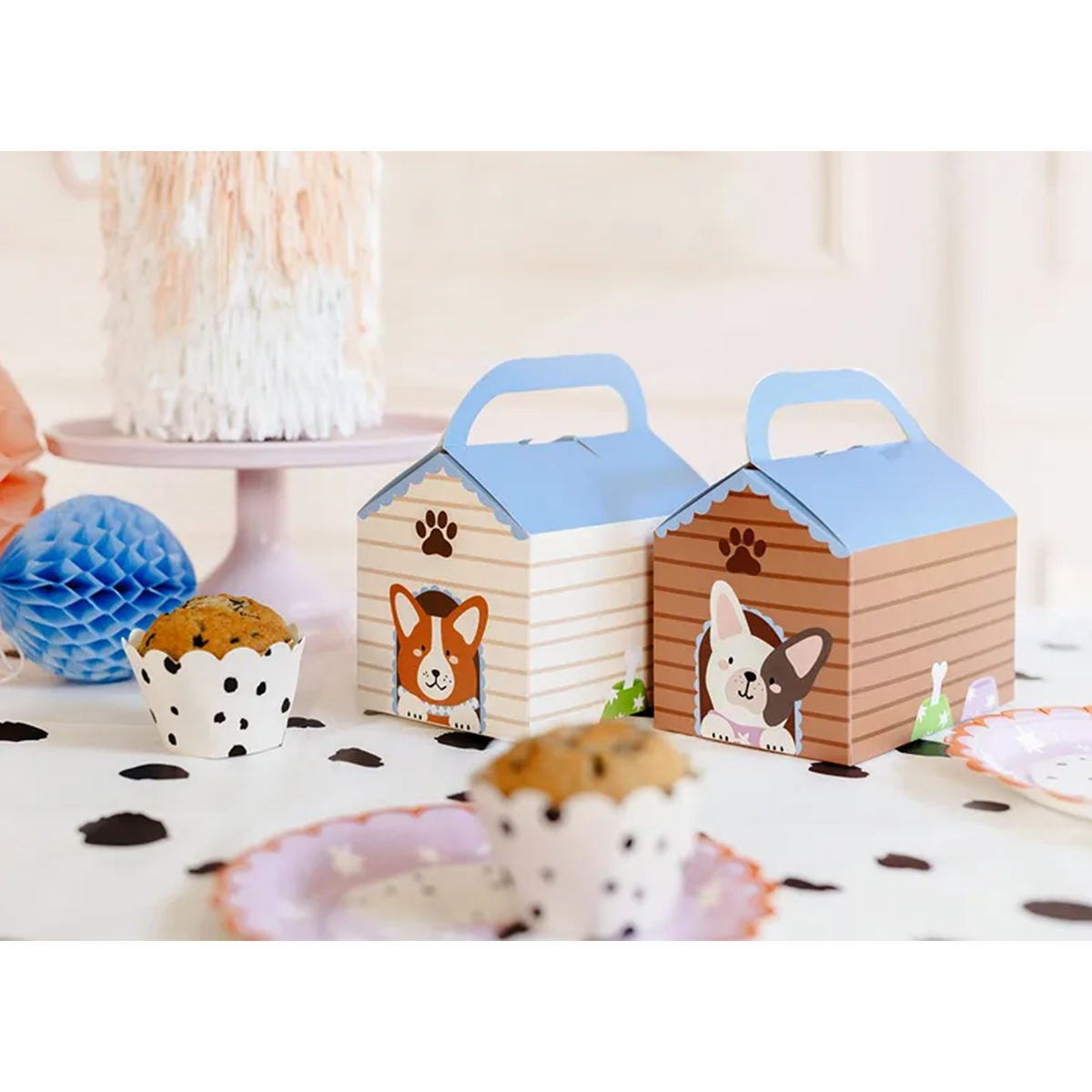 6 Kuchenboxen - Dogs