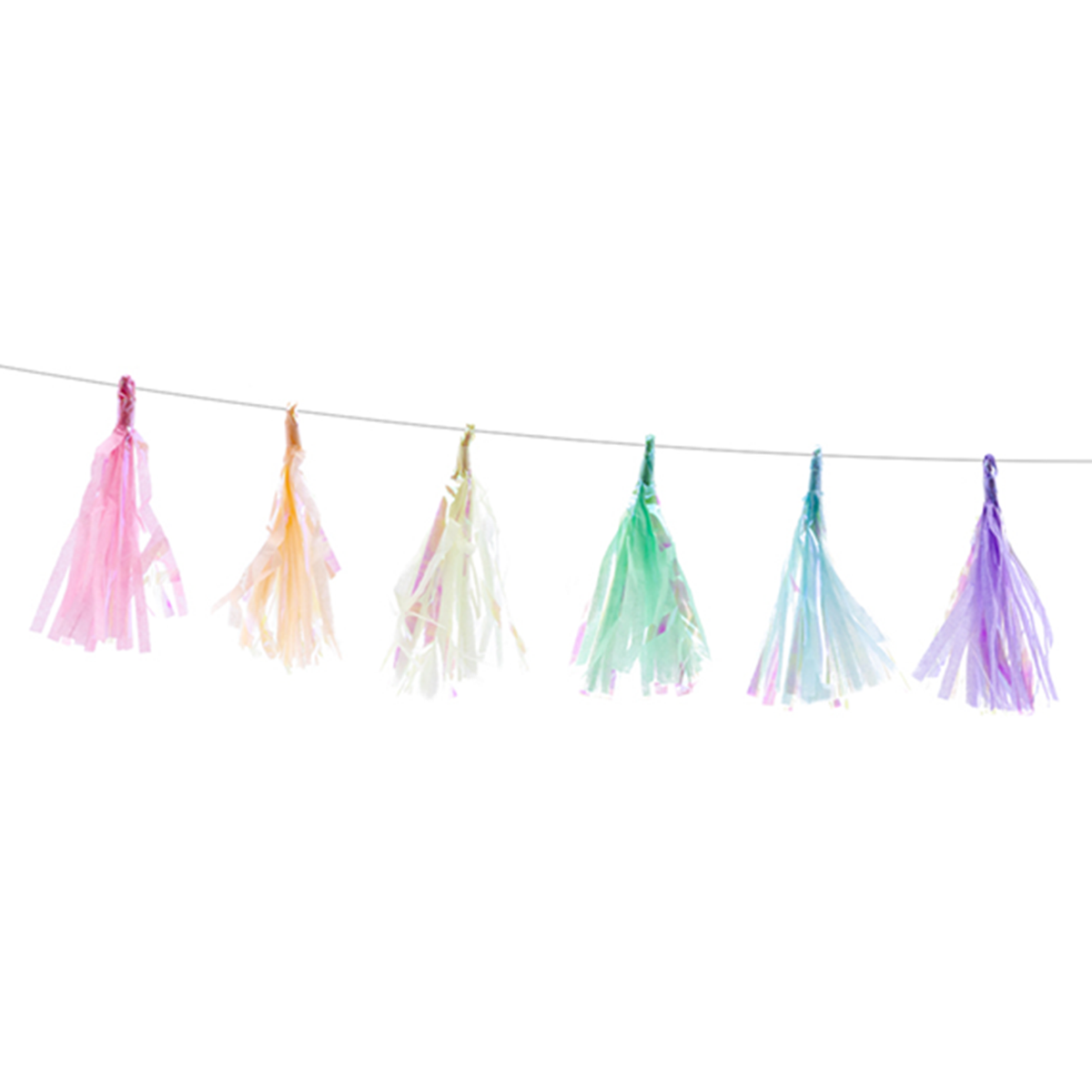 1 Tasselgirlande - 1,2m - Iridescent Mix