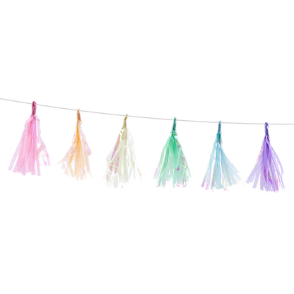 1 Tasselgirlande - 1,2m - Iridescent Mix