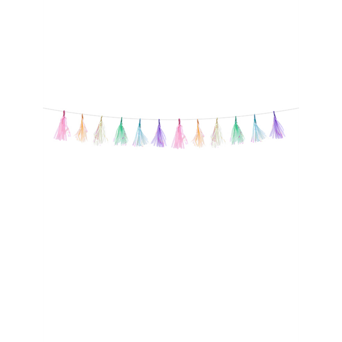 1 Tasselgirlande - 1,2m - Iridescent Mix