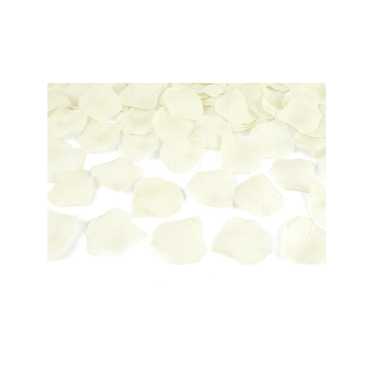 1 Konfettikanone XL - 60cm - Rosenblätter - Creme